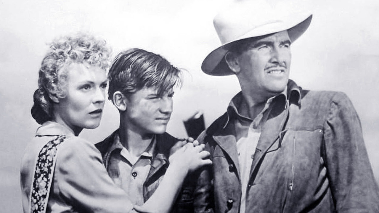 The Flicka Collection background